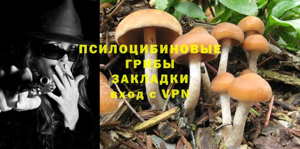 меф Медногорск