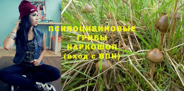 ГАЛЛЮЦИНОГЕННЫЕ ГРИБЫ Медвежьегорск