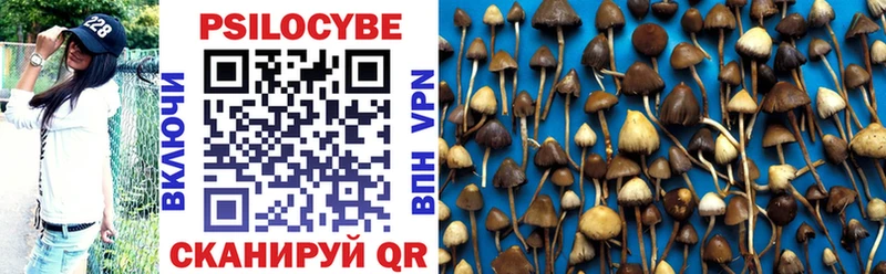 Псилоцибиновые грибы мухоморы  купить наркотик  даркнет формула  Циолковский 